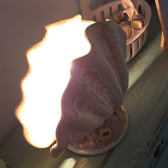 Seashell Table Lamp - Picture 2 of 8